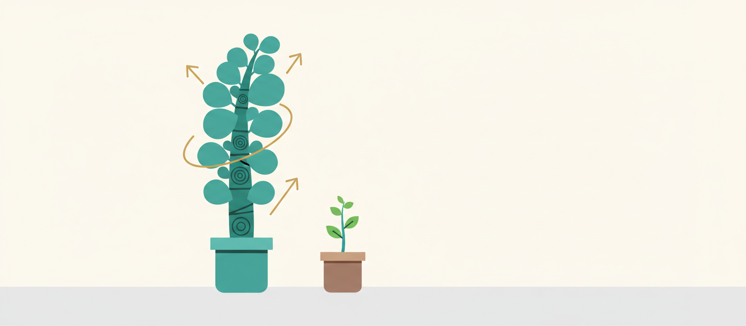 成功事例のパフォーマンス比較グラフ